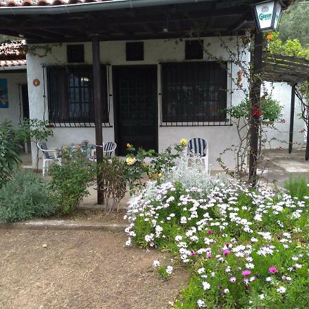 Vila Persefoni House Áfissos Exteriér fotografie